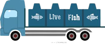 Fish Transport – IOT-Tech